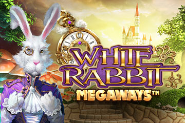 White Rabbit